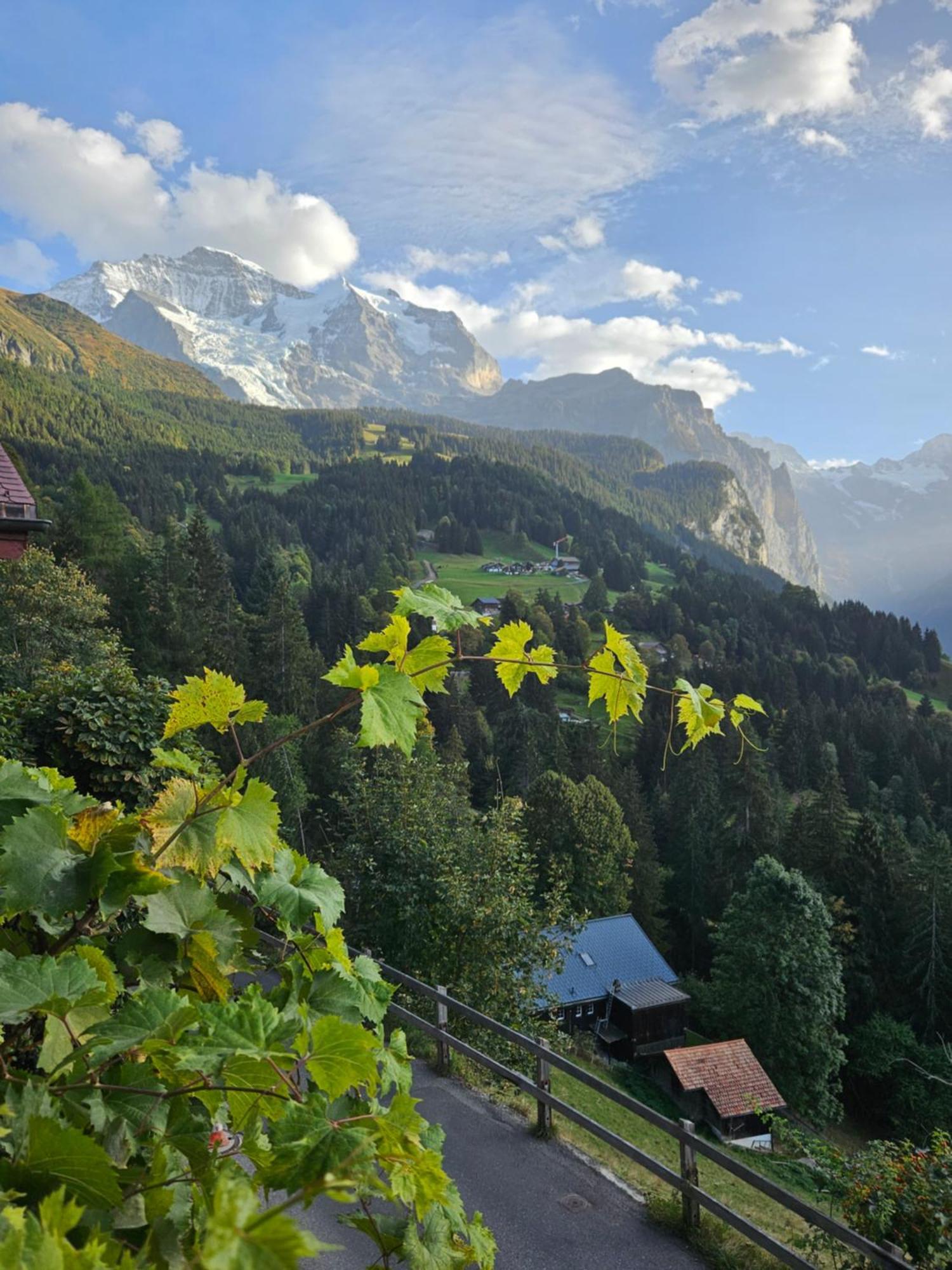 Chalet Aargovia South ون قن المظهر الخارجي الصورة